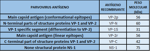 ANTÍGENOS