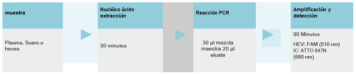 procedimiento