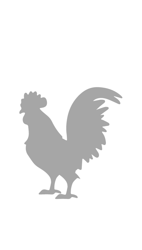 Diseño sin título (14)