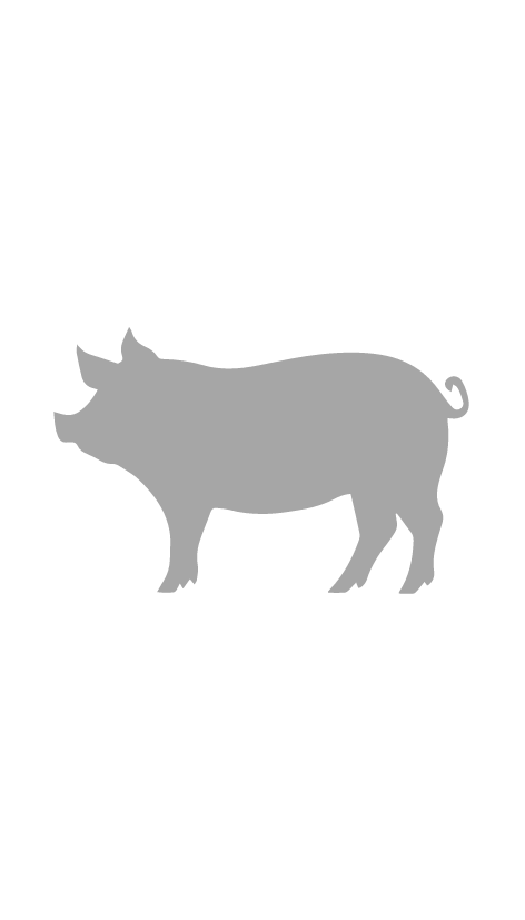 Diseño sin título (15)